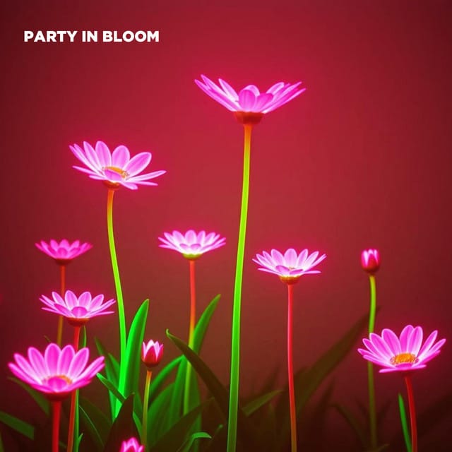 Party In Bloom