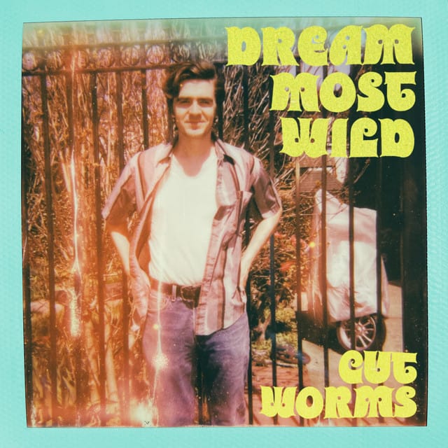 Dream Most Wild