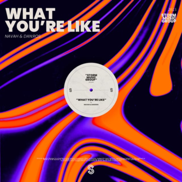 What You're Like (Radio Edit)
