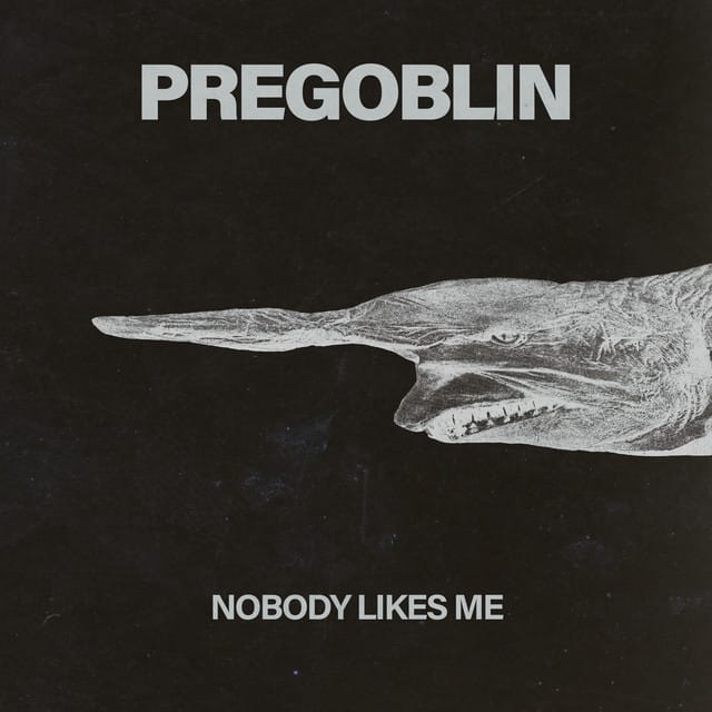 Nobody Likes Me (BABii rework)
