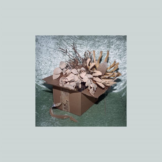 Can't See You Anymore - Single