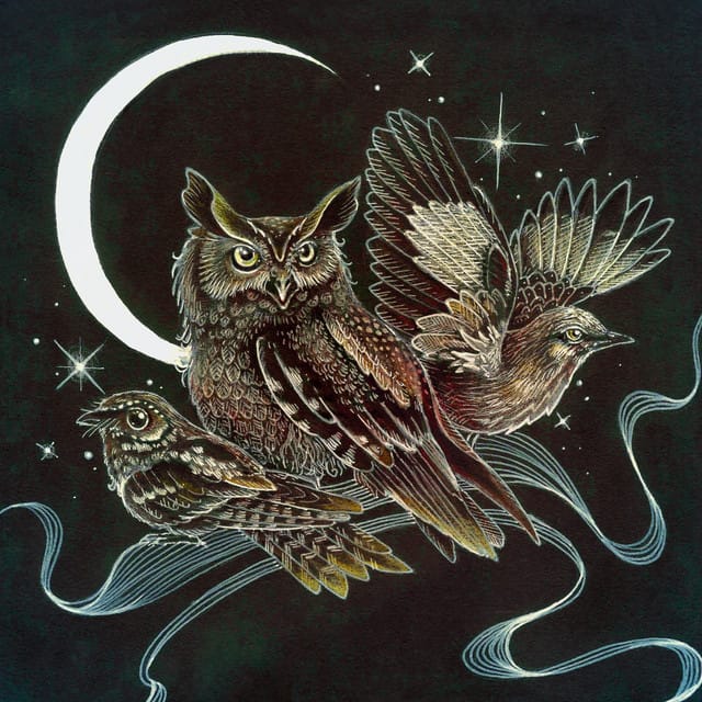 Certain Birds