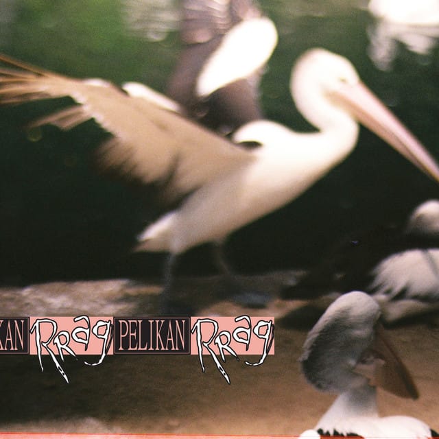 Pelikan - Single