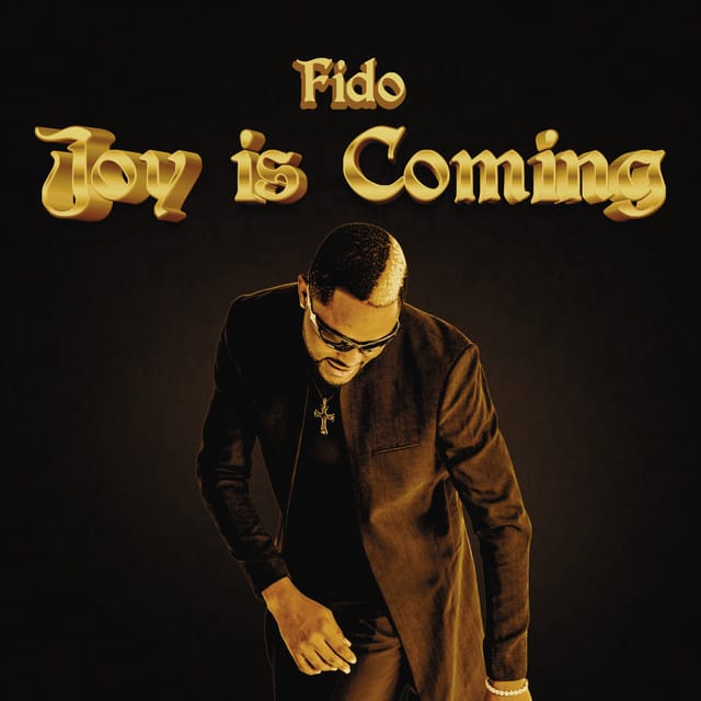Joy is Coming - Single