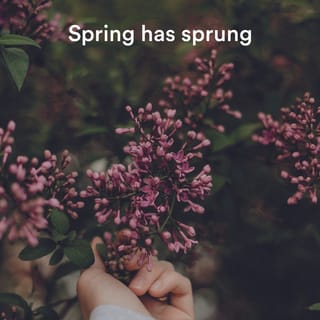 Spring has sprung