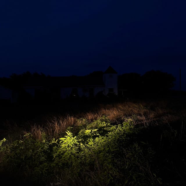 lluvia verde
