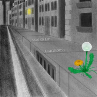 Life of a Dark Rose