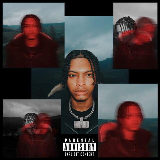DO NOT DISTURB (DELUXE)