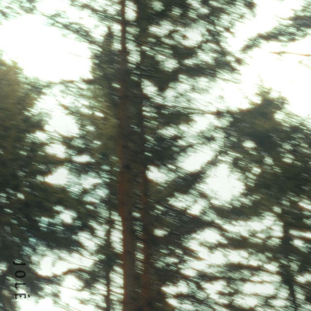 Bloom - Single