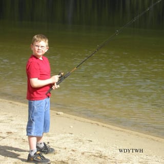 WDYTWH