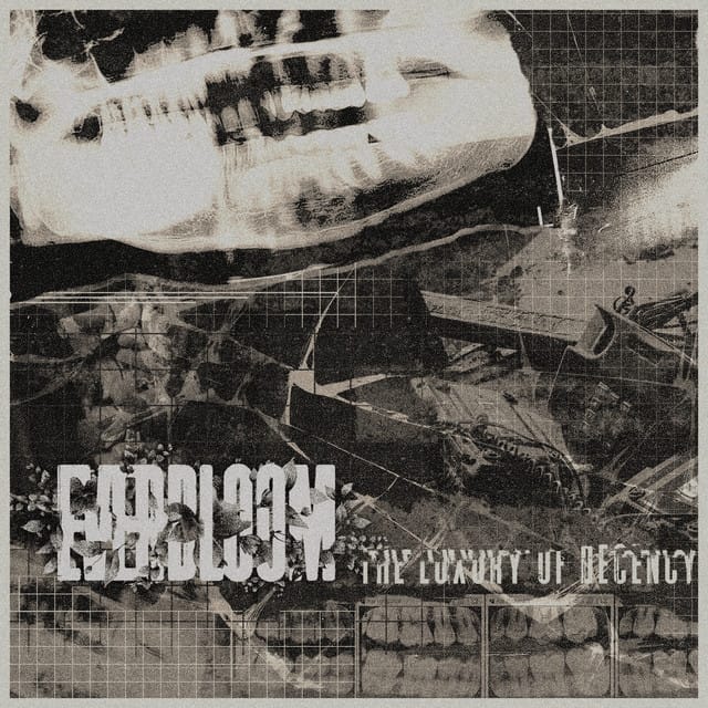 The Luxury of Decency - Single
