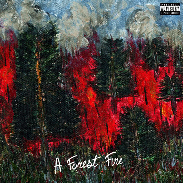 A Forest Fire