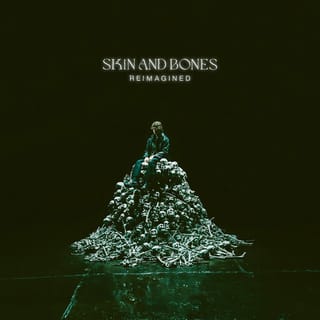 Skin and Bones (Reimagined)