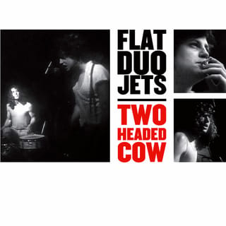 Two Headed Cow