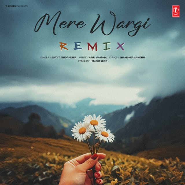 Mere Wargi (Remix) - Single