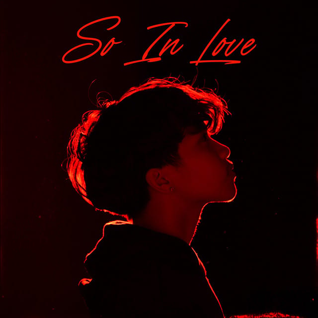 So In Love - Single