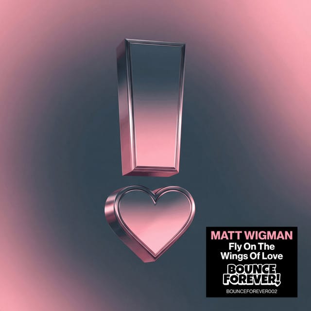 Fly On the Wings of Love - Single