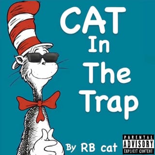 Cat In the Trap