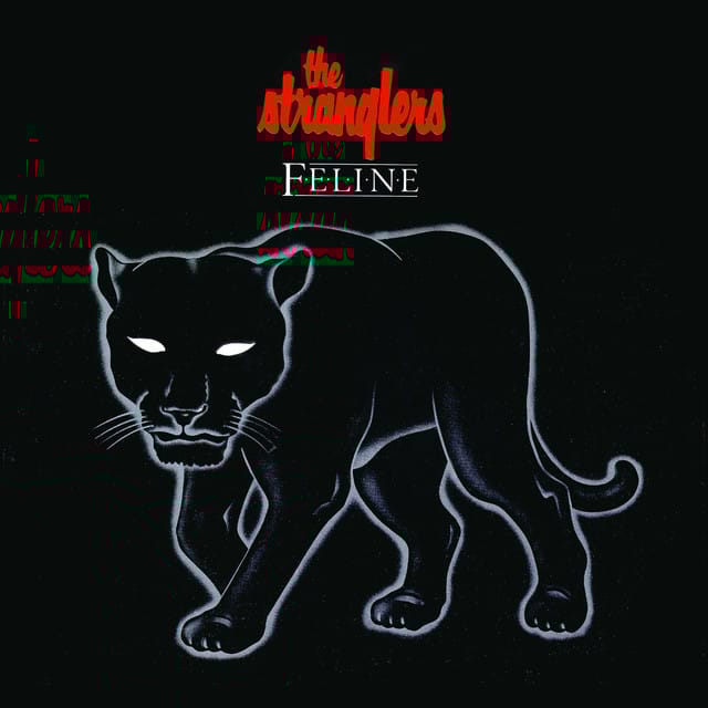 Midnight Summer Dream