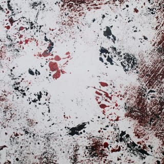 Mr Dog - Single