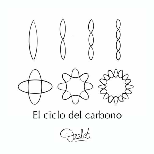 Dimensiones Y Cuerdas