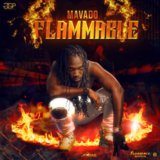 Flammable - Single