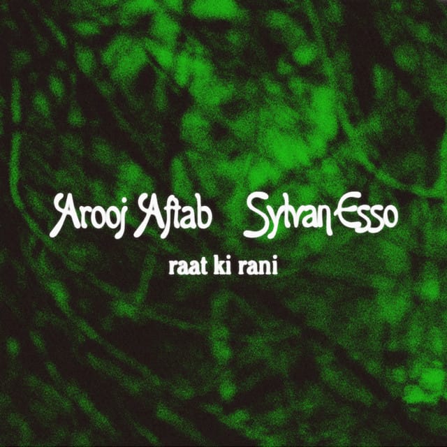 raat ki rani (Sylvan Esso remix)