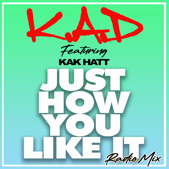 Just How You Like It (Radio Edit)