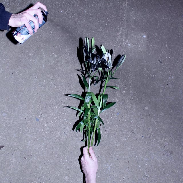 Lelijos - Single