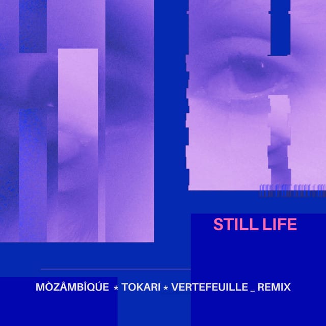 Still Life (Remix) - Single