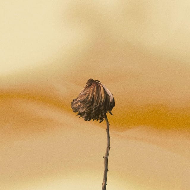 Depression Sex