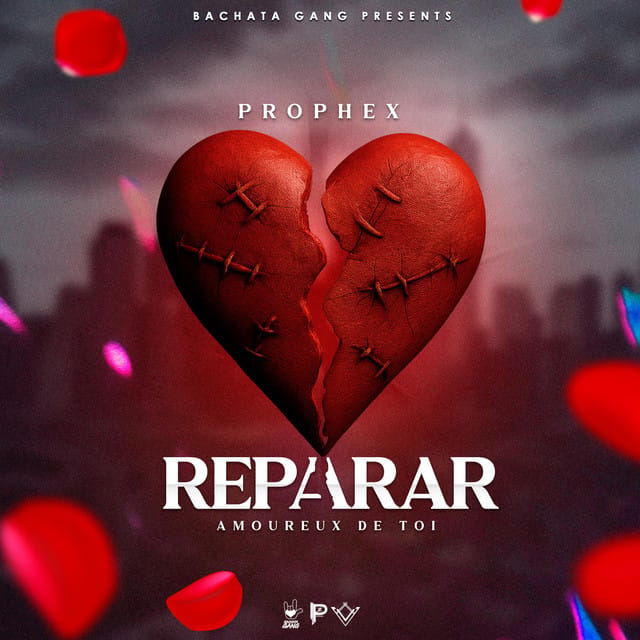 Reparar (Amoureux de toi)
