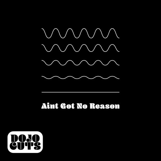 Ain't Got No Reason - Single