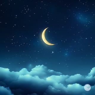 The Night Is Quiet - EP