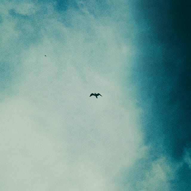 Red - EP