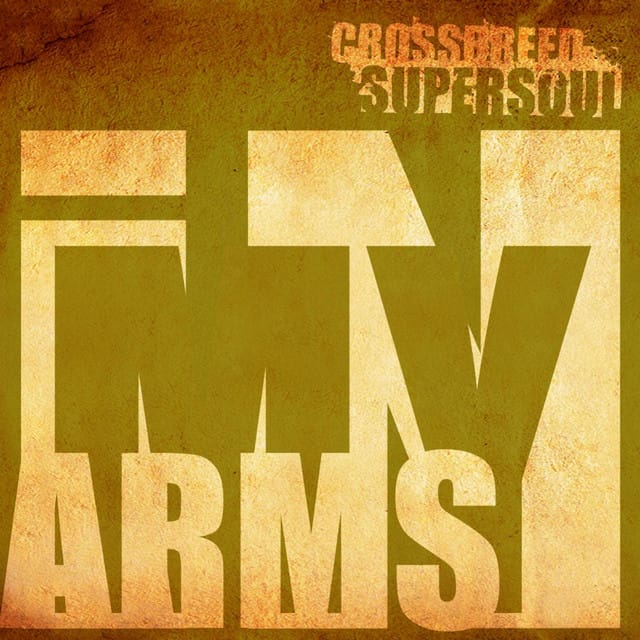 In My Arms