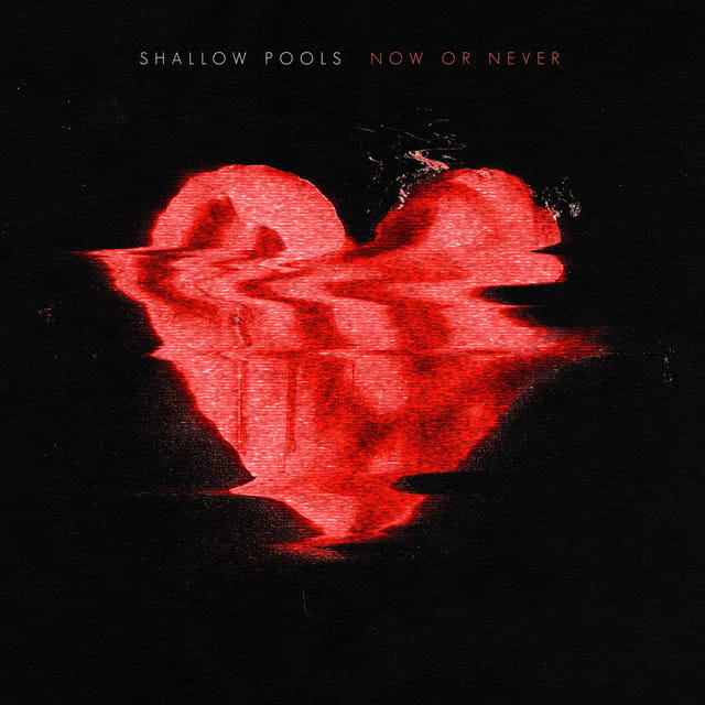 Now or Never - Single