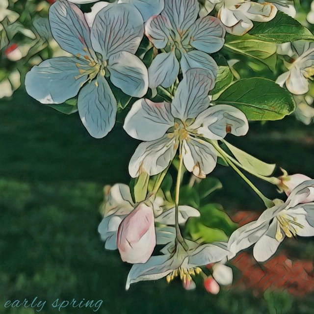 early spring