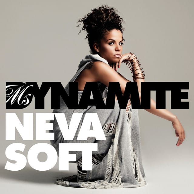 Neva Soft (The Mike Delinquent Project Remix) - Single