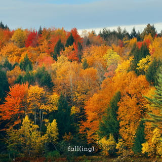 Fall(Ing)