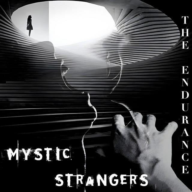 The Endurance - Single