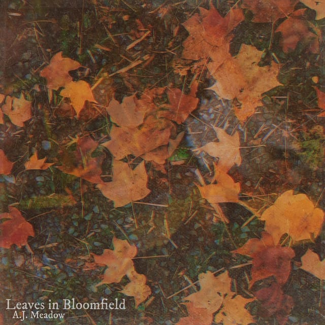 Leaves in Bloomfield - Single