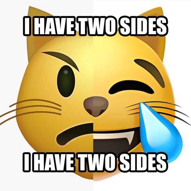 emoji chat qui rigole ≽^•⩊•^≼
