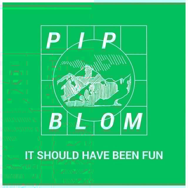 It Should Have Been Fun