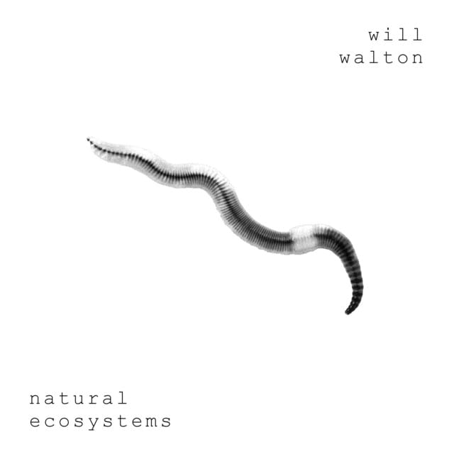 natural ecosystems