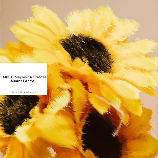Meant For You