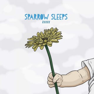 Zzzzz: Lullaby renditions of Relient K songs
