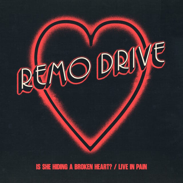 Is She Hiding a Broken Heart / Live In Pain - Single