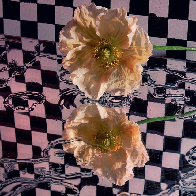 Butterfly Wings - Single