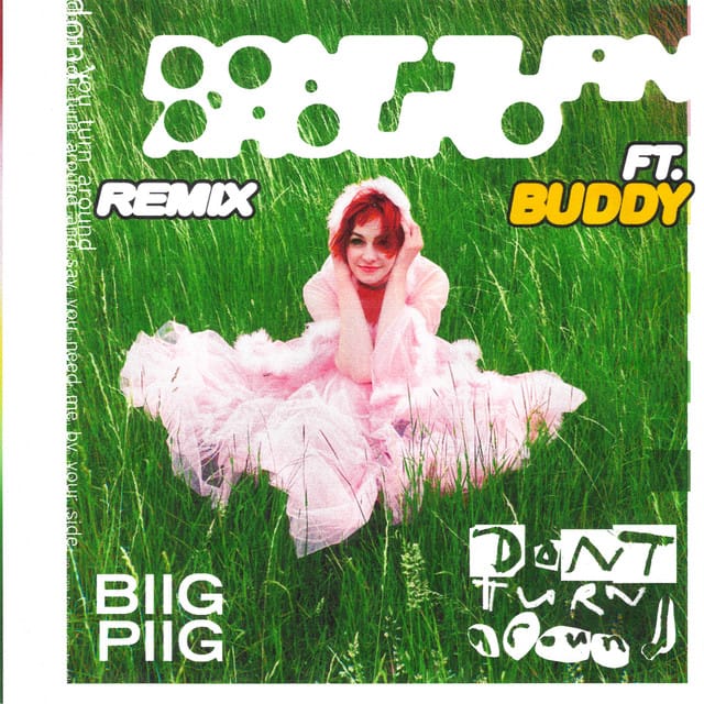 Don't Turn Around (Buddy Remix)